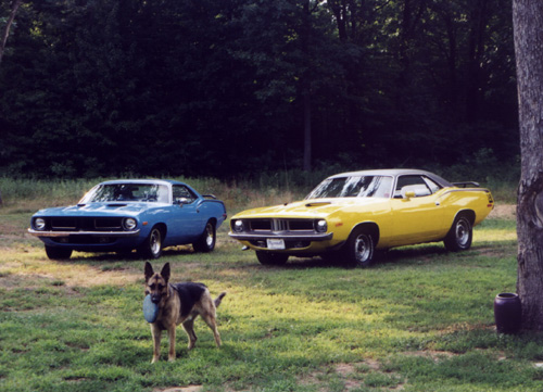 1973 Plymouth Cuda's By Cindy