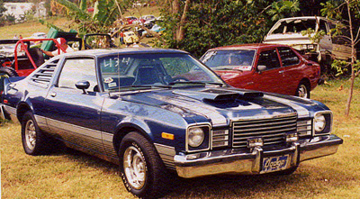 1979 Dodge Aspen R/T By Alexis D. Nieves