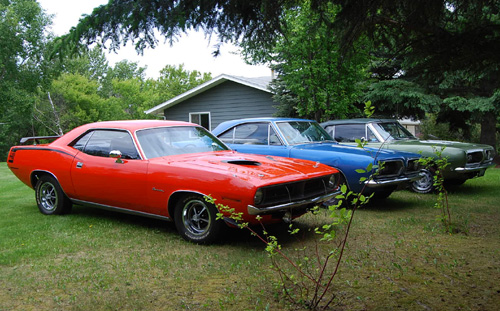 Plymouth Barracuda's by Kim Koda