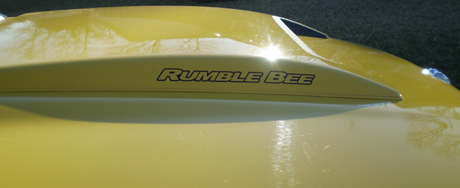 2005 Dodge Ram Rumble Bee By Brad Cahill