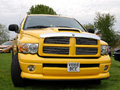 2004 Dodge Rumble Bee