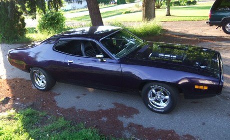 1971 Plymouth Road Runner By Dwayne Venton