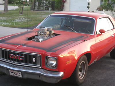 1975 Plymouth Road Runner By Scottie Dog