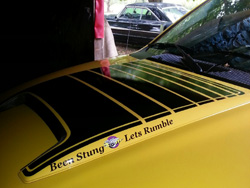 2005 Dodge Ram Rumble Bee By Mark Evans