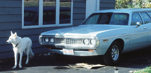 1972 Dodge Coronet By Peter Weger