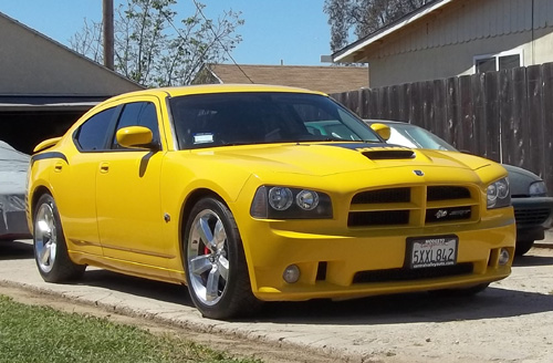 2007 Dodge Super Bee By Luis E. Pena