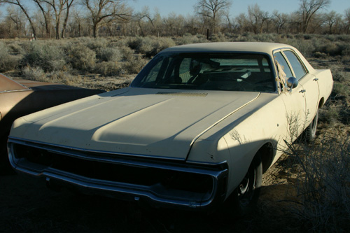 1970 Dodge Polara By Lynn Boyer