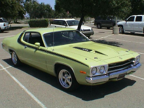 1973 Plymouth Road Runner By Roger Williams