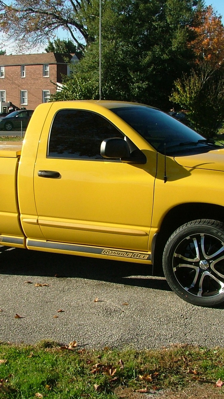 2005 Dodge Ram Rumble Bee 2