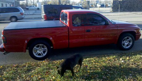 2001 Dodge Dakota R/T By Terry Nelson