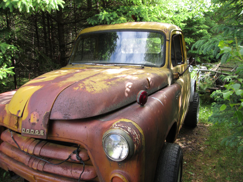 1954 Dodge D100 By Dennis Snavely