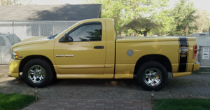 Mopar Truck Of The Month - 2004 Dodge Rumble Bee